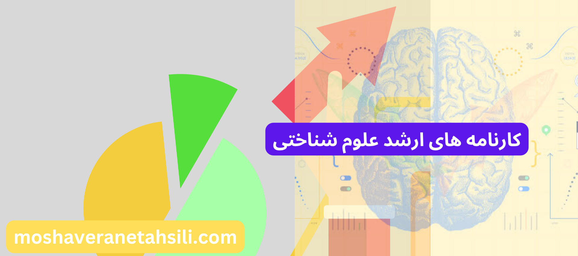نمونه کارنامه های ارشد علوم شناختی رتبه ها و درصدها
