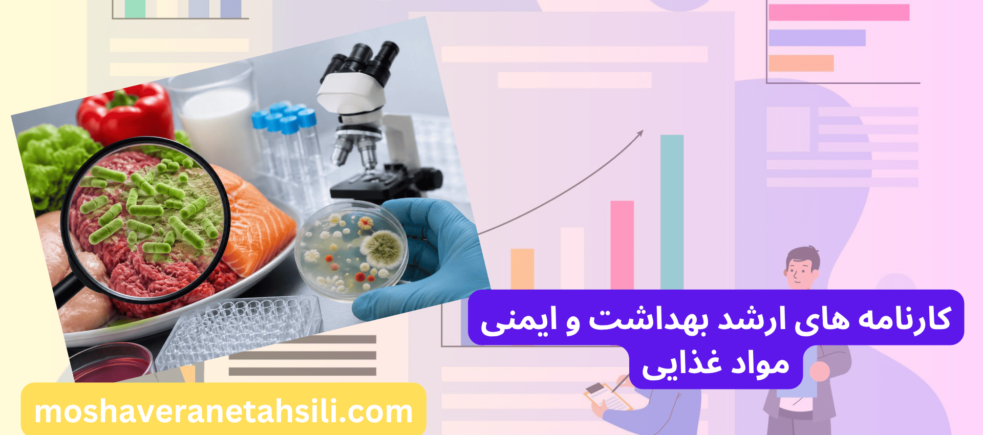 کارنامه های ارشد بهداشت و ایمنی مواد غذایی